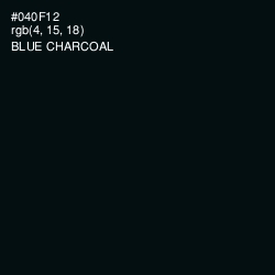 #040F12 - Blue Charcoal Color Image